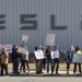 WATCH: Backlash Against Elon Musk Grows as Demonstrators Rally at Tesla Dealerships in Colorado